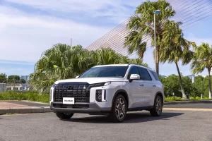 Hyundai Palisade Prestige 6 Chỗ