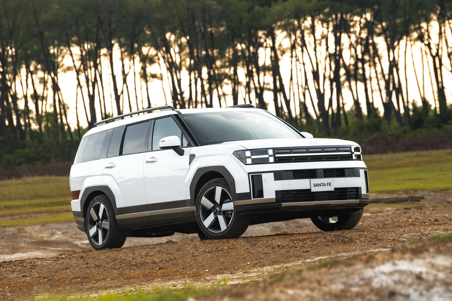 hyundai-santa-fe-2-5-prestige-7-cho