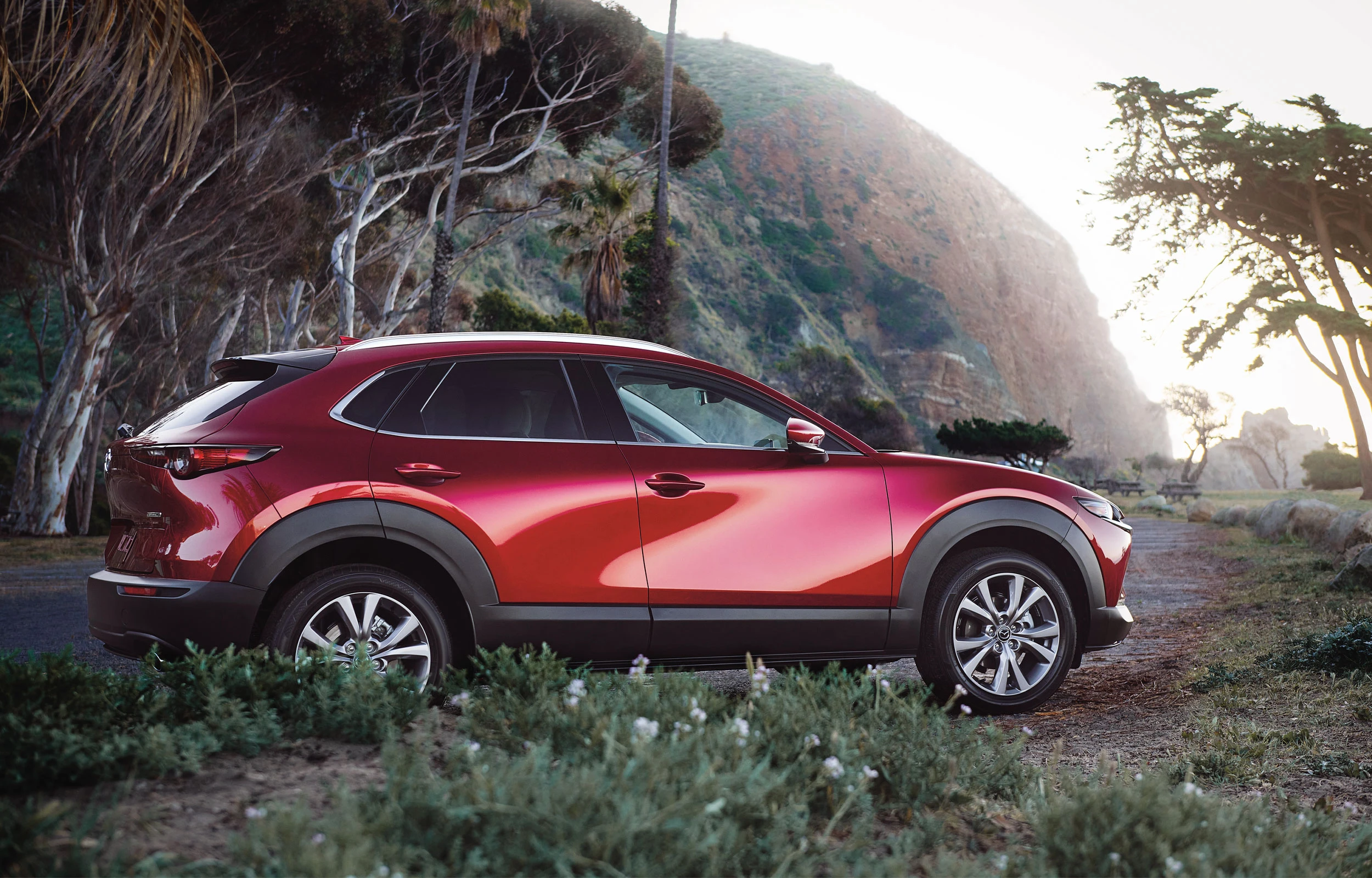 mazda-cx-30-2-0l-premium