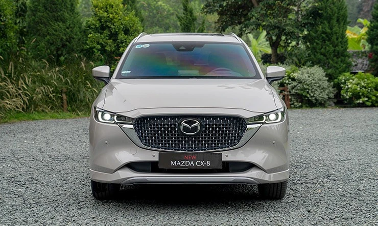 mazda-cx-8-2-5-luxury