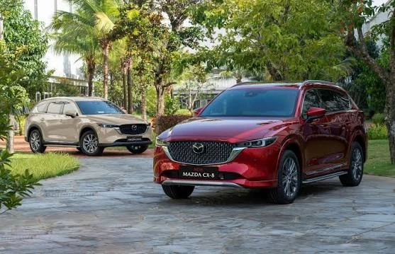 mazda-cx-8-2-5-luxury