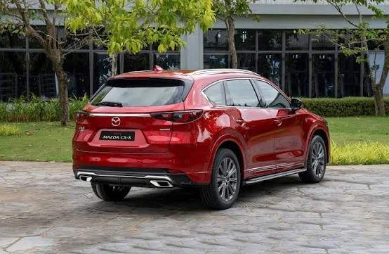 mazda-cx-8-2-5-luxury-tuy-chon
