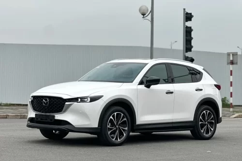 Mazda CX-8 2.5 Luxury (Tuỳ Chọn)